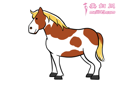 小骡子找妈妈的故事
