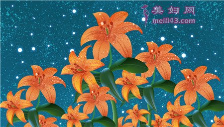 星星花的故事童话故事