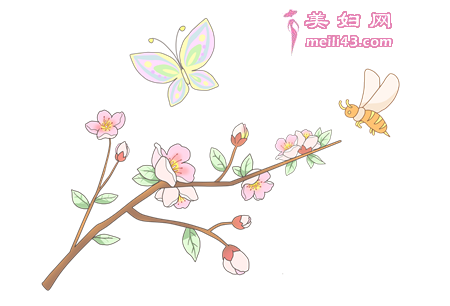 美丽的花蝴蝶故事