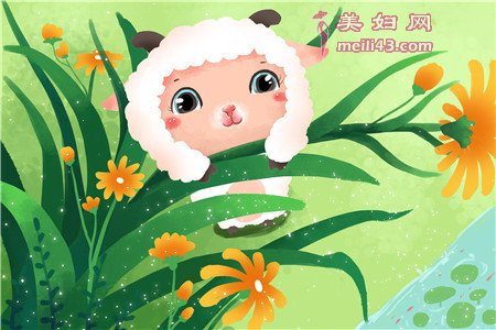 我说谎了的故事