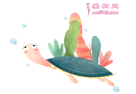 小乌龟找工作的故事