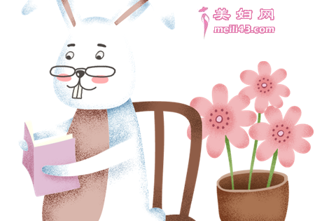 眼镜兔子的故事
