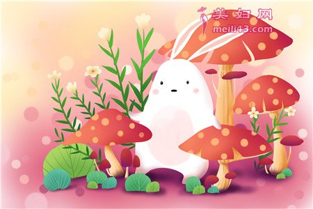好心的小白兔童话故事