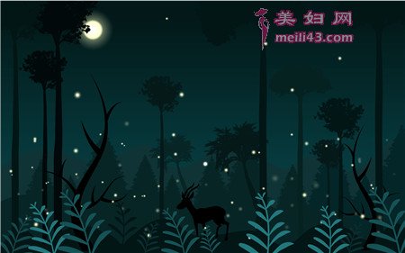 星星点灯童话故事