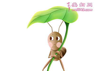 蚂蚁坐飞机儿童故事
