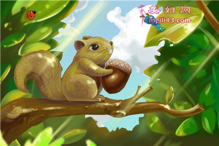 一个松鼠和松果的故事