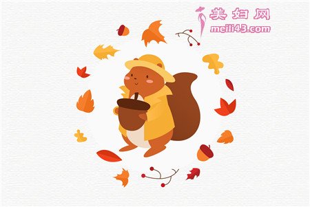 小松鼠的珠子故事