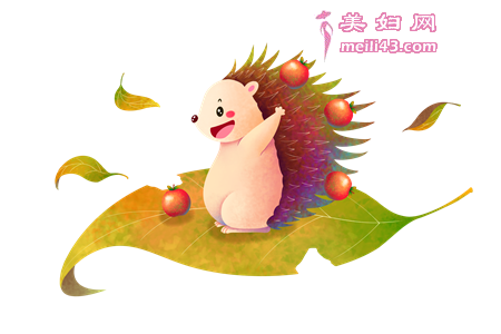 小刺猬的爱心故事