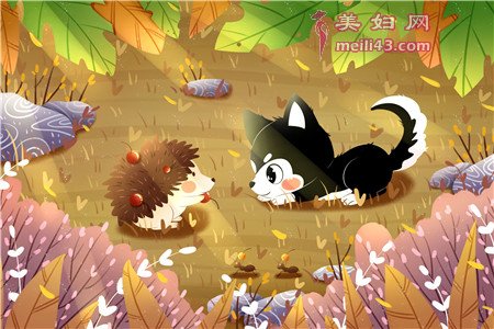 小刺猬寻找食物故事