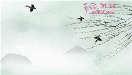 小树和小燕子的故事