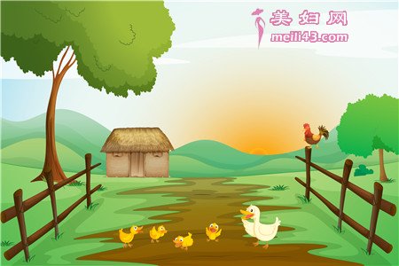 �����ǵ�СѼ�ӵĹ���