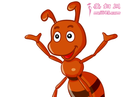 ���ϸ�������·��С�����