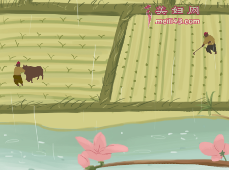 布谷鸟叫迟了的故事