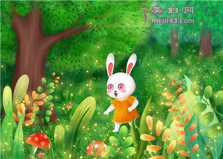 M路的小兔子童话故事