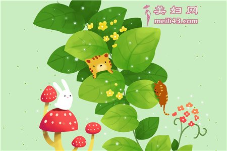 M路的小兔子童话故事