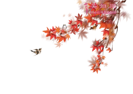 �Һ���ȸ�����ѵĹ���