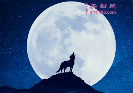 �Ե��Ĵ���ǹ���