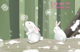 小野兔找春天的故事