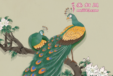 后悔的孔雀儿童故事