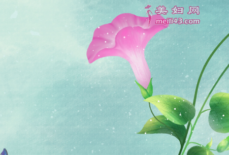 牵牛花电话故事