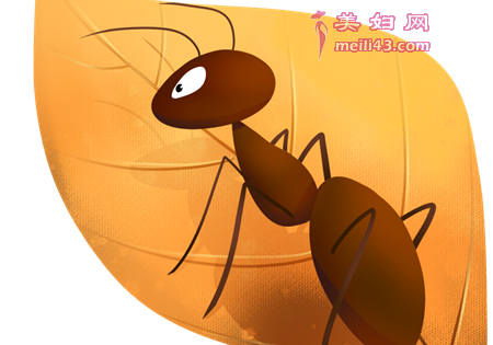 С���������Ķ���Ĺ���