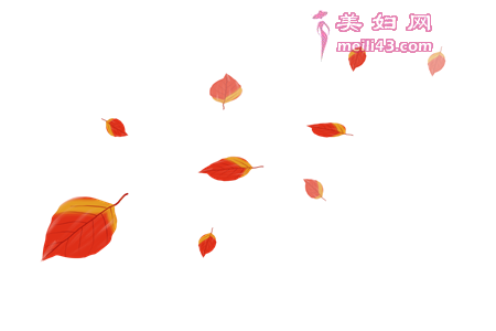 С��Ҷ��������