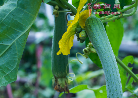 ˿�Ϻ��ϹϵĹ���