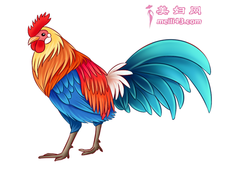 小公机请客的故事
