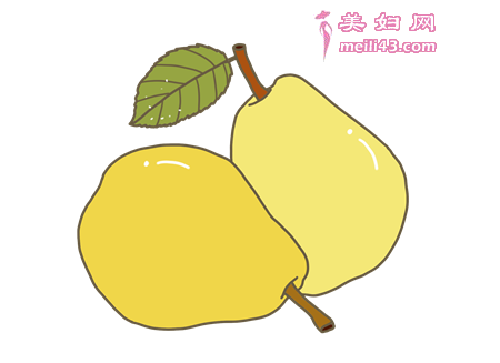 SE