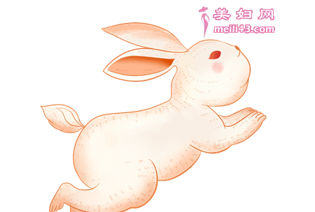 小兔灰灰学长跑故事
