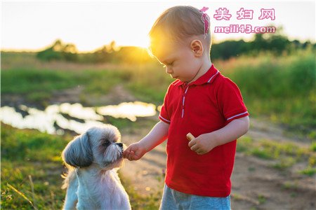 属牛的怎么取名字好听