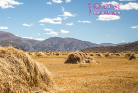 爱溜达的云故事