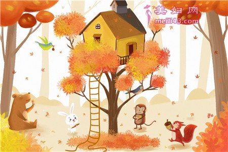 小松鼠和小猴子故事