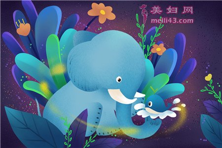 没有鼻子的大象故事