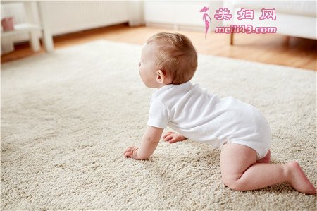 宝宝名字属牛