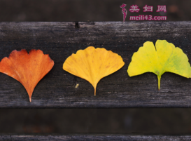 树叶下的温暖儿童故事