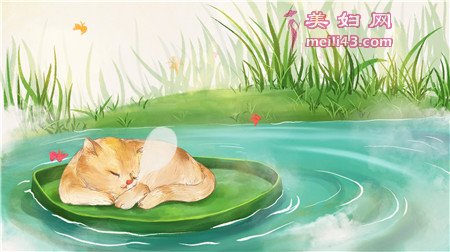小鲫鱼和小猫故事
