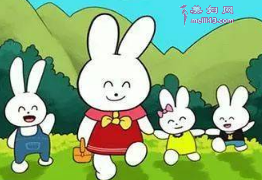 兔子和河马的故事