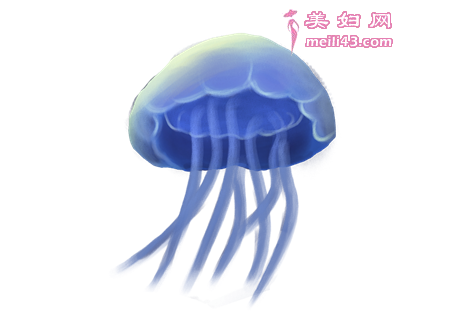 ˲Сˮĸ