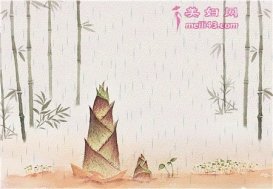 青竹和小树的故事