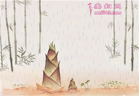 青竹和小树的故事