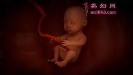 孕妇有甲减基本是男孩吗