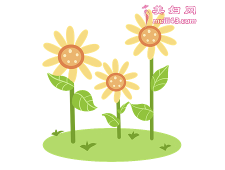 向日葵园的故事
