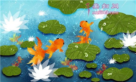 故事花瓣儿鱼