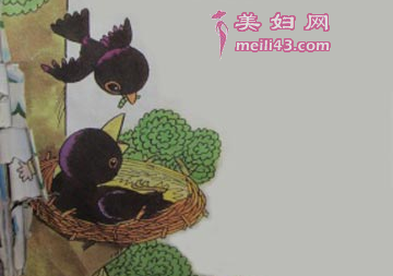 可怜的小鸟的故事