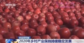 ũҵũ岿Ԥ2020귵紴ҵԱ1010