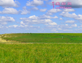 �й����г��Ĺ���