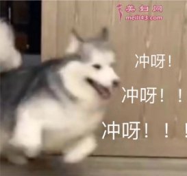 2020最后一天文案感悟 怎么发朋友圈说说句子告别2020