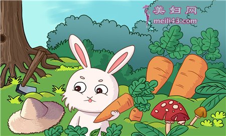 萝卜兔和白菜兔的故事