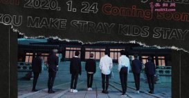 Stray Kids ȫ ѲӢרϢ